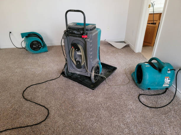 Best Fire Damage Restoration  in Bradford, TN