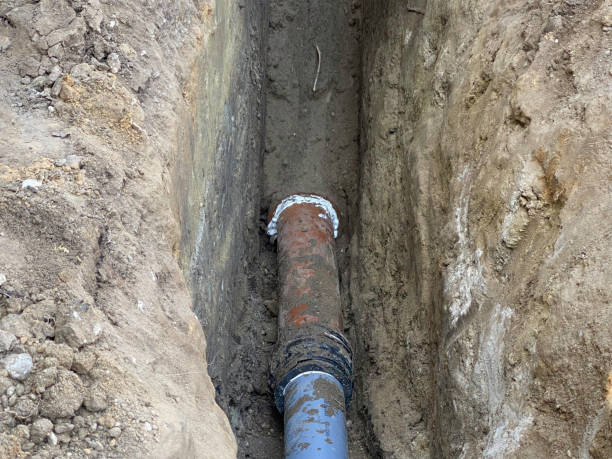 Best Flood damage cleanup  in Bradford, TN