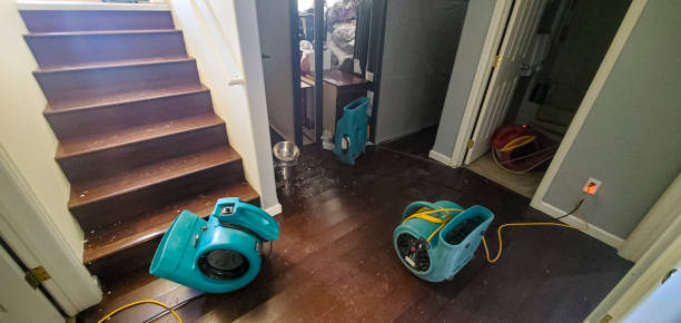 Best Emergency water damage restoration  in Bradford, TN