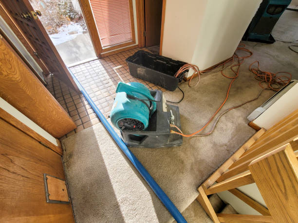 Best 24/7 water damage repair  in Bradford, TN