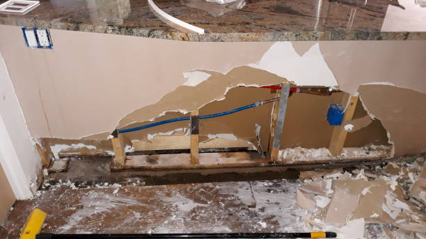 Best Flooded house restoration  in Bradford, TN