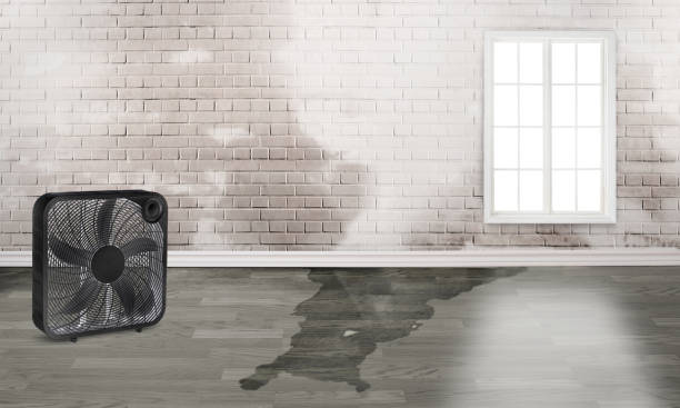 Best Emergency water damage restoration  in Bradford, TN