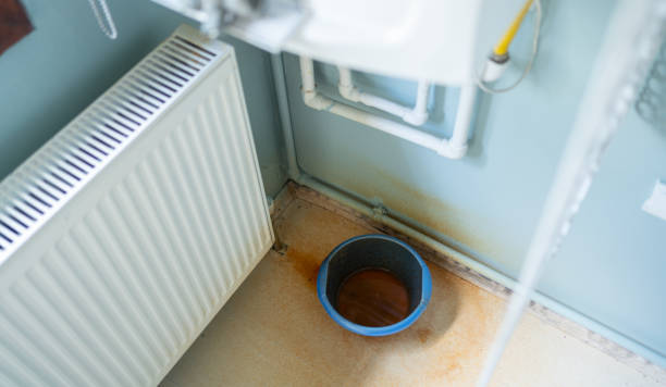 Best Commercial water damage restoration  in Bradford, TN