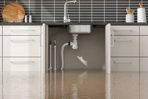 Best Carpet water damage restoration  in Bradford, TN