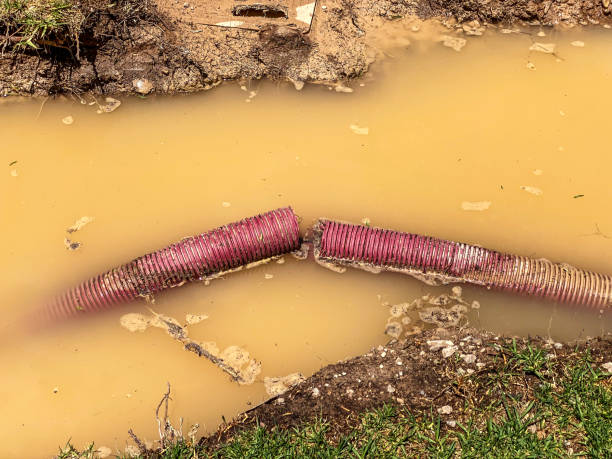 Best Professional water damage repair  in Bradford, TN